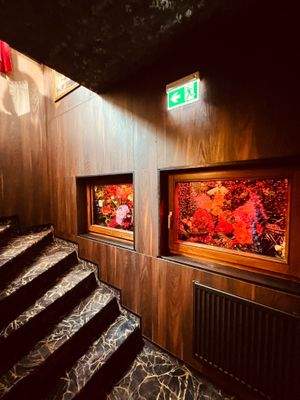 Treppenabgang Toiletten