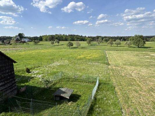 Ausblick auf den Garten