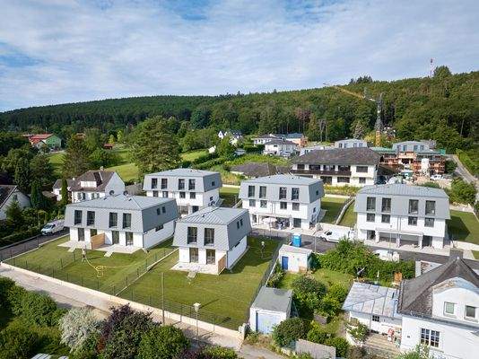 Michael Pinzolits Fotografie - DJI_0948