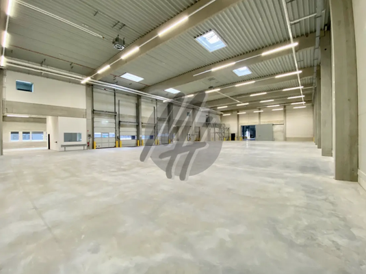 INFOS UNTER: 06171-586000