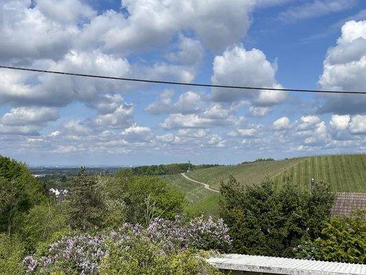 sonnige Südwest-Lage