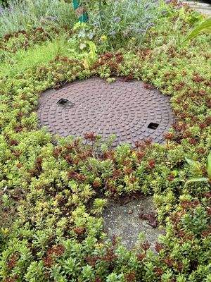 vollbiologische Kleinkläranlage