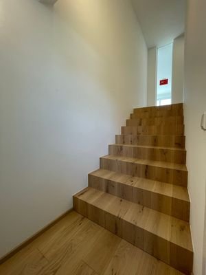 Treppe v. Wohnungseingangstüre