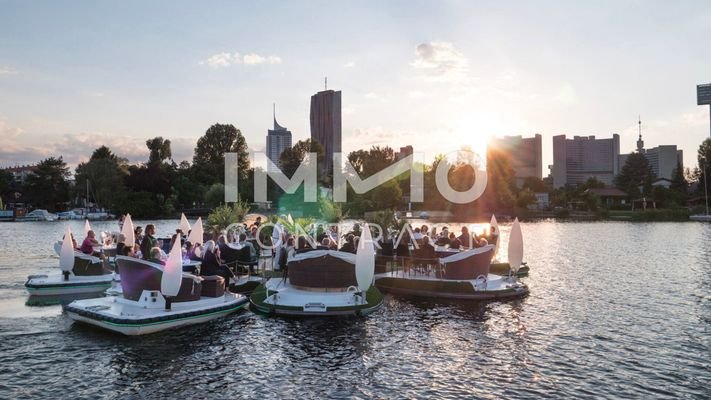 mietinsel alte donau