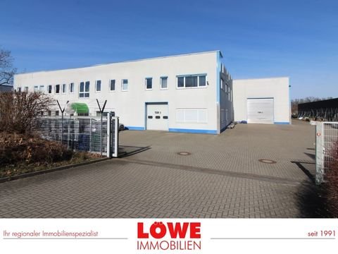 Ludwigsfelde Halle, Ludwigsfelde Hallenfläche