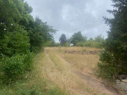 Blick vom Bungalow zur Einfart - Tor