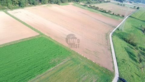 Wiesbaden / Breckenheim Bauernhöfe, Landwirtschaft, Wiesbaden / Breckenheim Forstwirtschaft