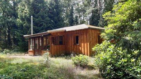 Schneverdingen Häuser, Schneverdingen Haus kaufen