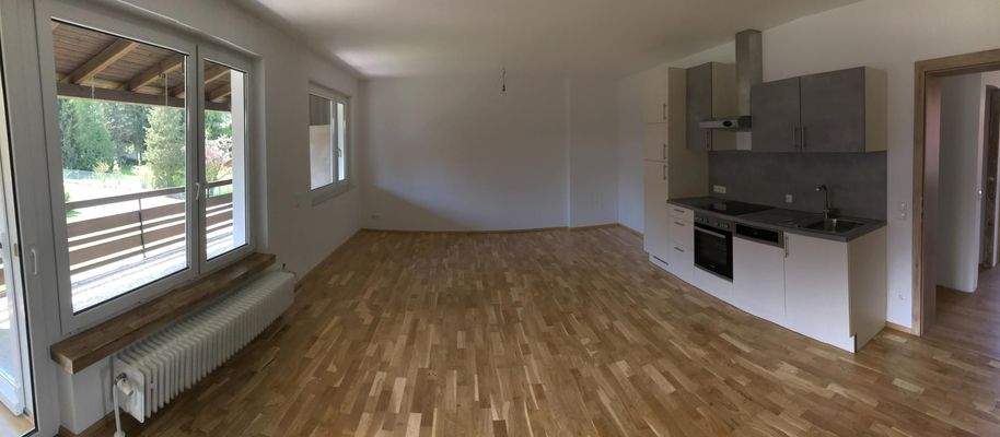 Wohn- Esszimmer mit Küchenzeile