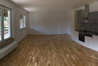 Wohn- Esszimmer mit Küchenzeile