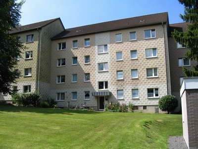 ve0248ft02d_ob_dem_lahrtal_26