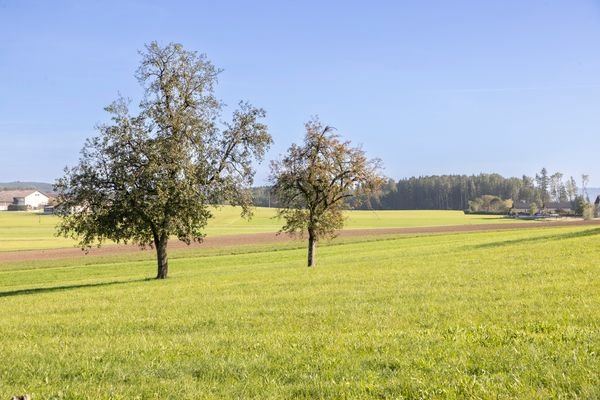 MyHome_Reihenhaeuser_5