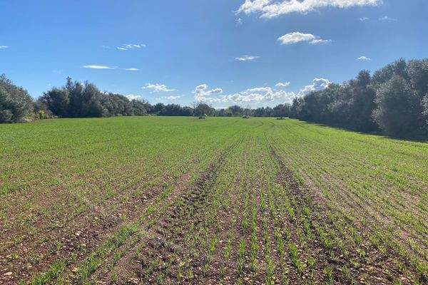 Grundstück mit Bergblick