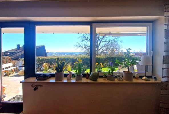 Ausblick ins Grüne, Gartenwohnung