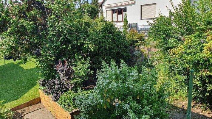 Garten mit Nachbaransicht