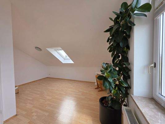 Helles Dachstudio mit Pflanze