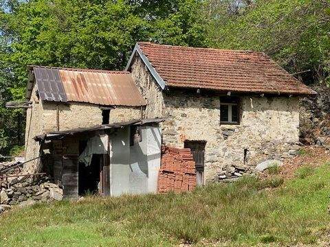 Tronzano Lago Maggiore  Häuser, Tronzano Lago Maggiore  Haus kaufen