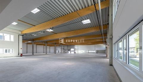 Düsseldorf / Holthausen Halle, Düsseldorf / Holthausen Hallenfläche