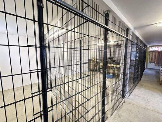 2026-03-03_14-11-04_848