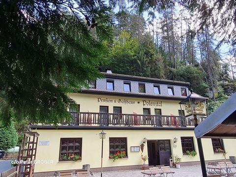 Hohnstein Häuser, Hohnstein Haus kaufen