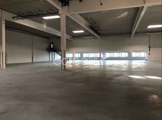 Innenansicht Hallenfläche