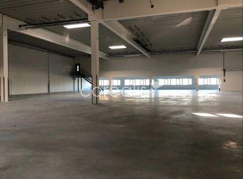 Wuppertal Halle, Wuppertal Hallenfläche