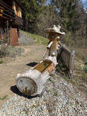 Brunnen mit eigener Quelle