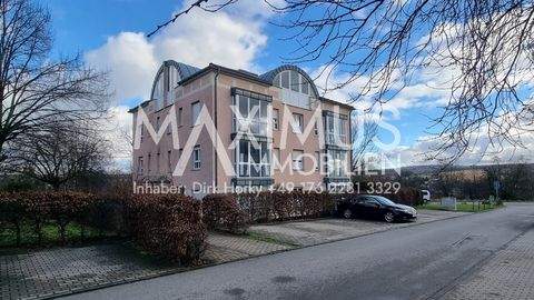 Frankenberg/Sa. Wohnungen, Frankenberg/Sa. Wohnung kaufen