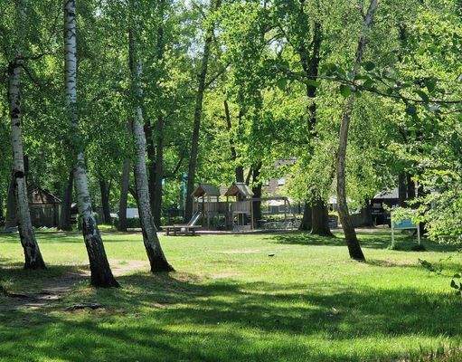 Badestelle-Liegewiese 