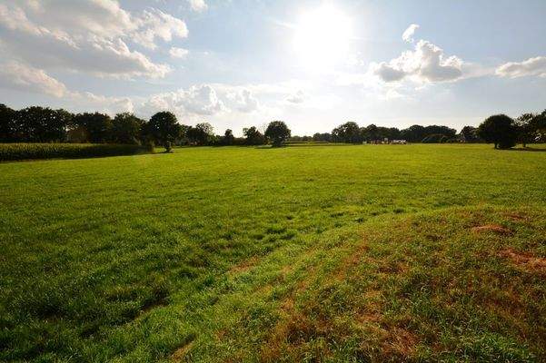 Grünland angrenzend