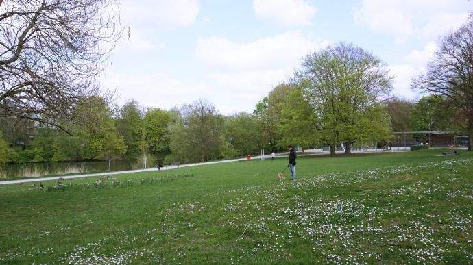 Park am Mühlenteich