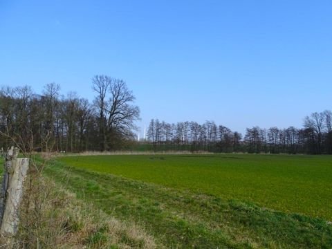 Triglitz Bauernhöfe, Landwirtschaft, Triglitz Forstwirtschaft