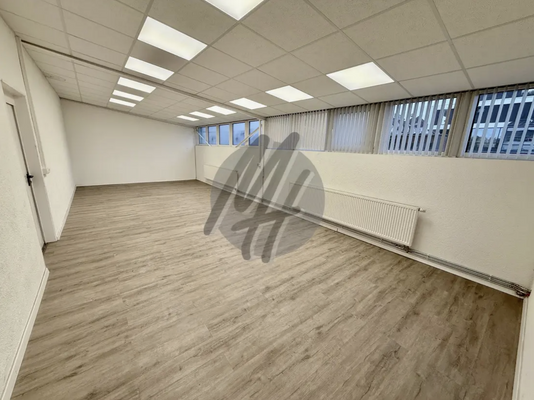 INFOS UNTER: 06171-586000