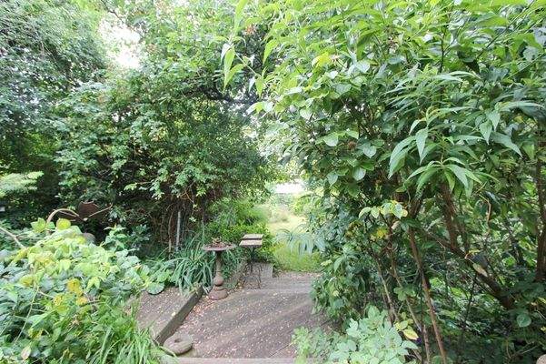 Blick in den hinteren Garten II