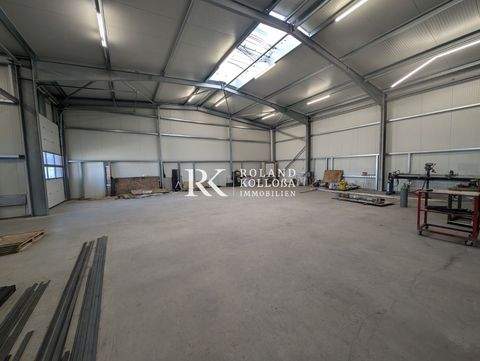 Ganderkesee Halle, Ganderkesee Hallenfläche