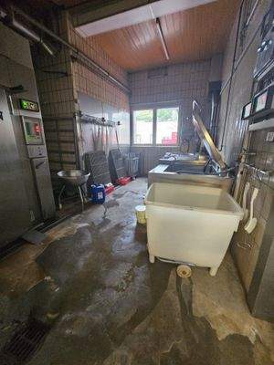 WhatsApp Image 2026-01-16 at 11.06.00 (2).jpeg