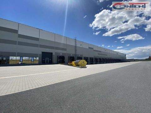 Bor Halle, Bor Hallenfläche