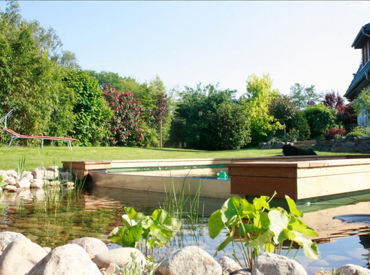 der schöne Infinity Pool mit angrenzenden Naturteich