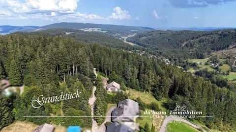 Feldberg Grundstücke, Feldberg Grundstück kaufen