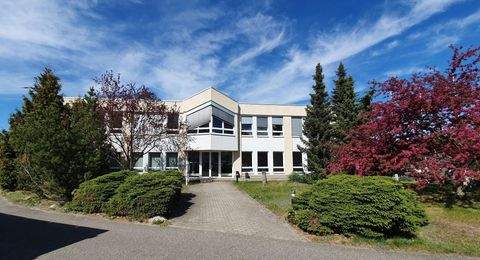 Oranienburg Büros, Büroräume, Büroflächen 