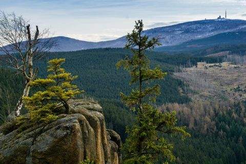 Braunlage Gastronomie, Pacht, Gaststätten
