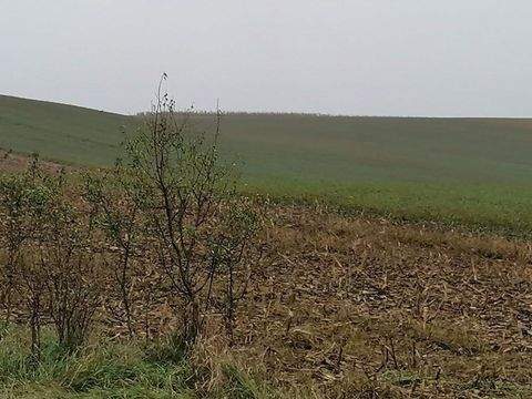 Viisoara Industrieflächen, Lagerflächen, Produktionshalle, Serviceflächen