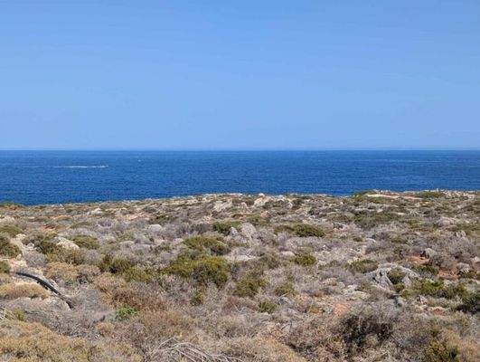 Kreta, Stavros: Küstengrundstücke mit Baugenehmigung und Meerblick zu verkaufen