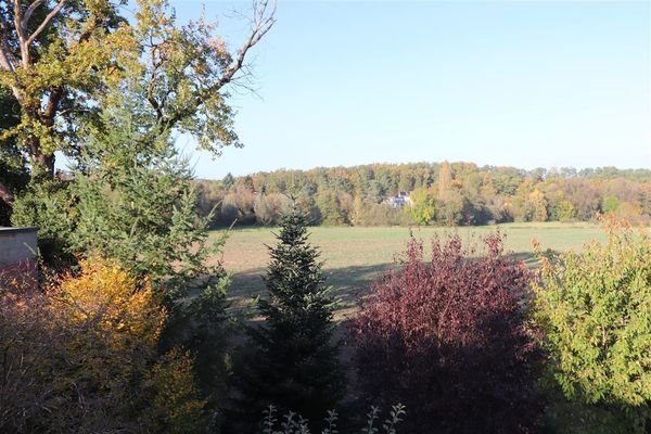 Blick von Dachterrasse zu den Schwabachauen