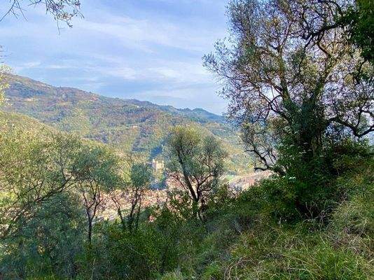 DA812_06 TERRA ITALIA IMMOBILIEN_LIGURIEN_DOLCEACQ