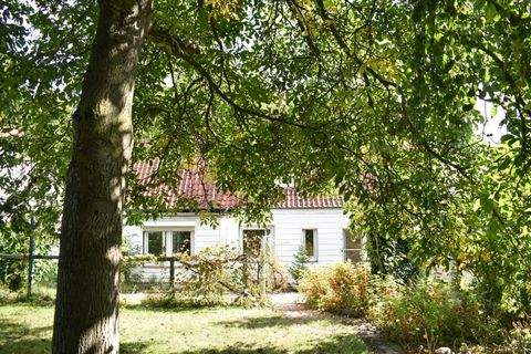 Syke Häuser, Syke Haus kaufen