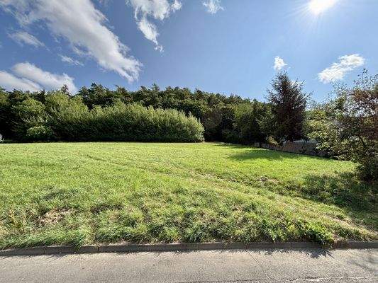 Blick von der Straße