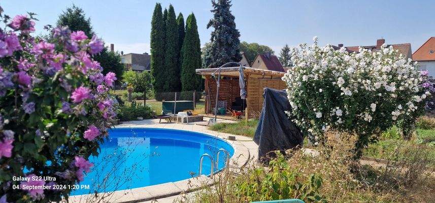 Gartenfläche Pool Ansicht 2.jpg