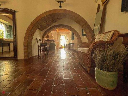 PHOTO-2023-06-21-23-39-03 3.jpg