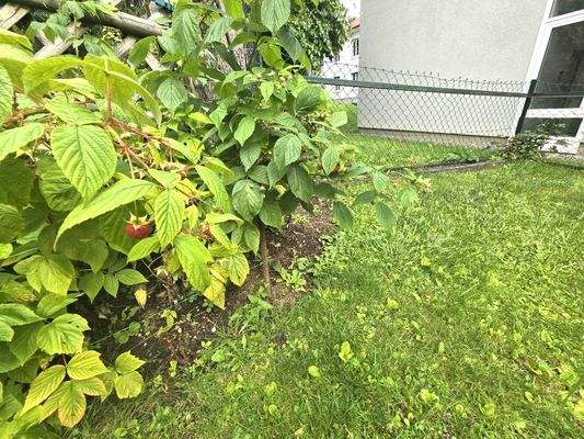 20250904_113208 (Mittel).jpg